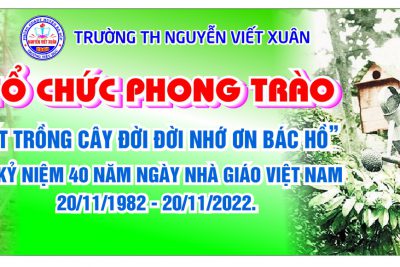 CÁC HOẠT ĐỘNG THÁNG 11/2022